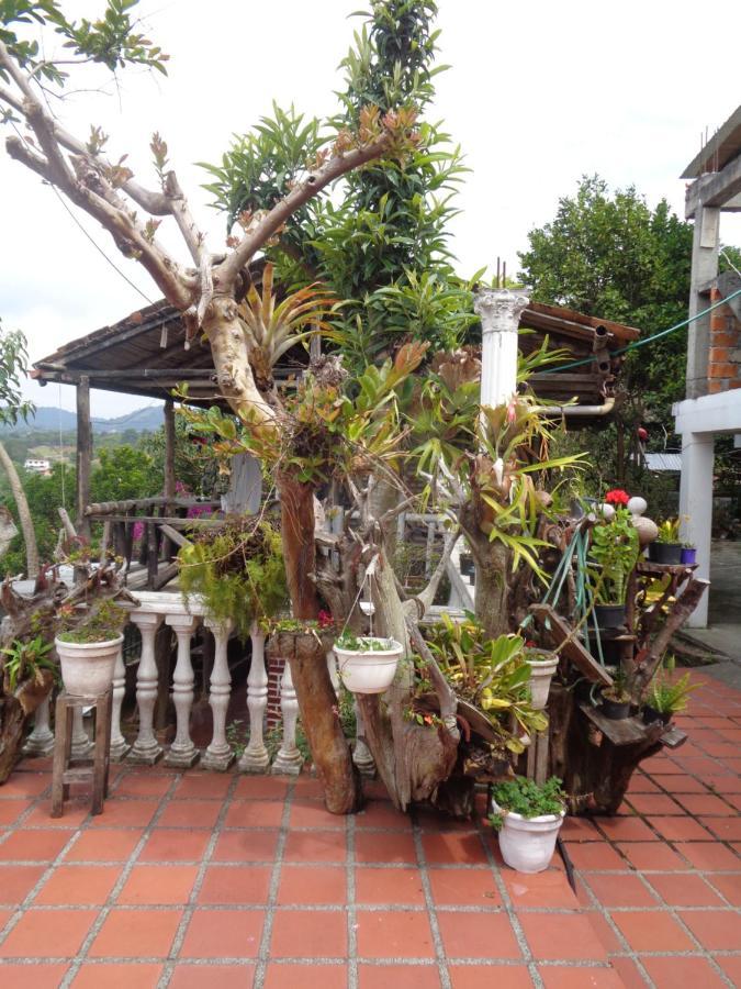 Hostal Loco Locombia San Agustín Kültér fotó